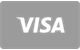 Visa card accepted at Betnella Casino